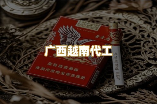 广西越南代工